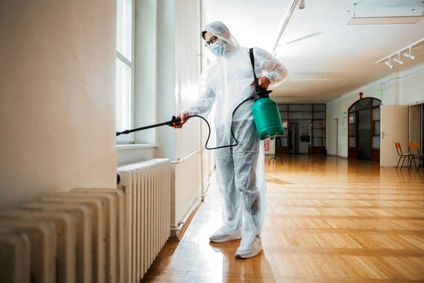 Professional Pest Control in Bradley, IL